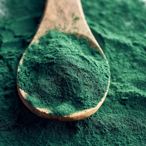 spirulina.png__PID:15379d2b-442c-444e-873e-1ff7ee0b90ca